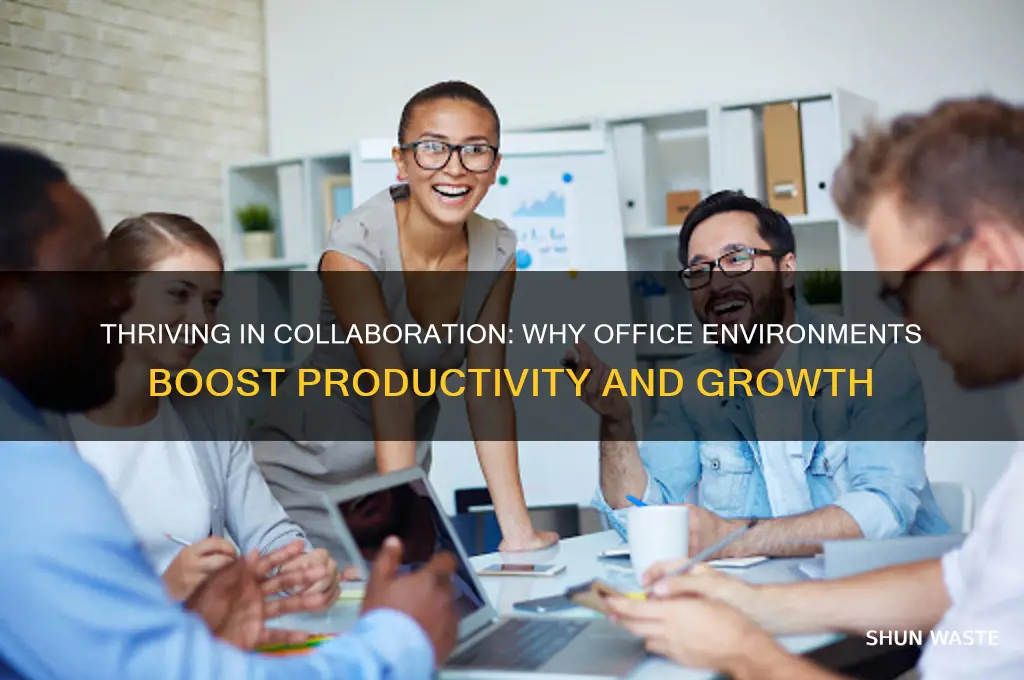 why do you want to work in an office environment