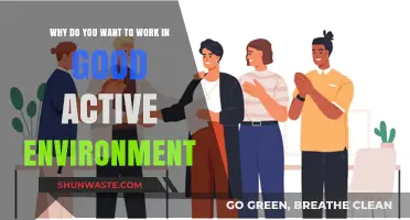 Thriving in a Good Active Environment: Why It’s Essential for Career Growth