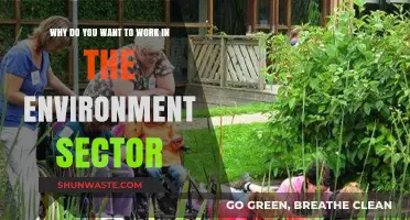 Passionate About the Planet: Why I Chose the Environment Sector