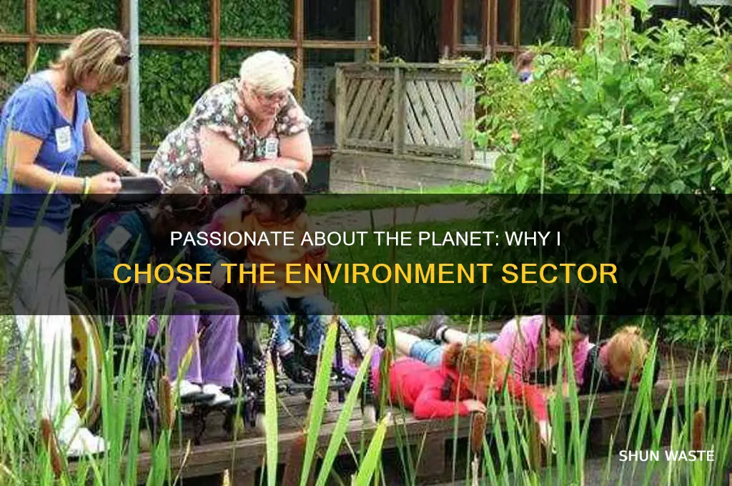 why do you want to work in the environment sector