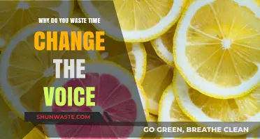 Stop Wasting Time Changing Voices: Embrace Your Unique Sound