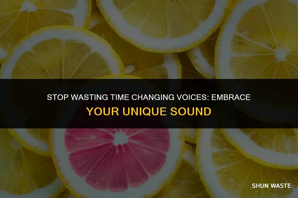 why do you waste time change the voice
