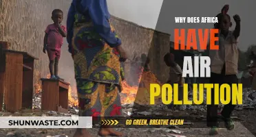 Air Pollution in Africa: What's the Cause?
