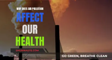 Air Pollution: A Silent Health Crisis