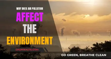 Air Pollution: Damaging Our Environment