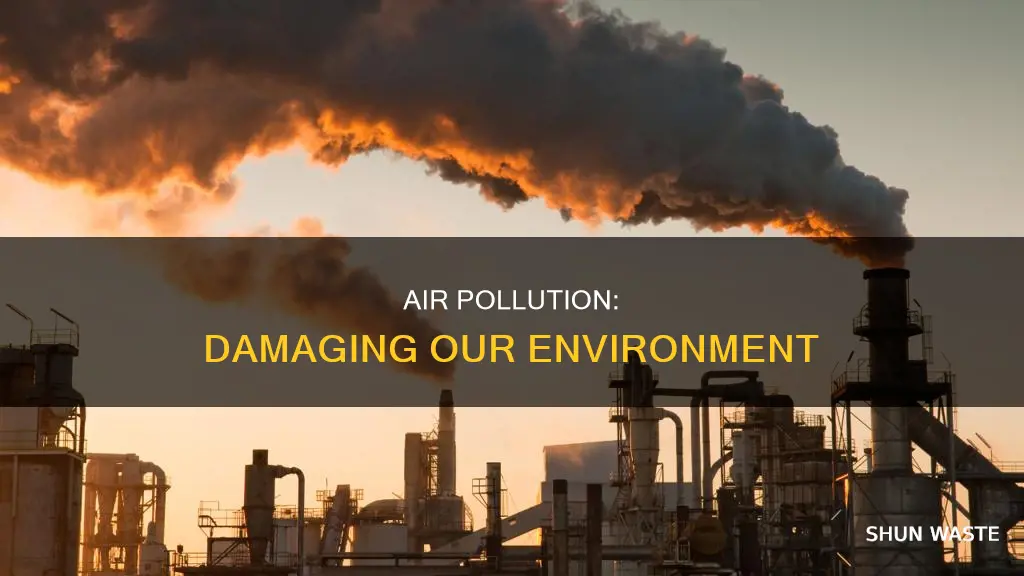 why does air pollution affect the environment