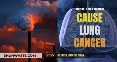 Air Pollution: A Deadly Link to Lung Cancer