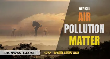 Air Pollution: A Matter of Life and Breath