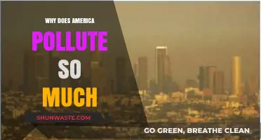 America's Pollution Crisis: Uncovering the Root Causes of Environmental Degradation