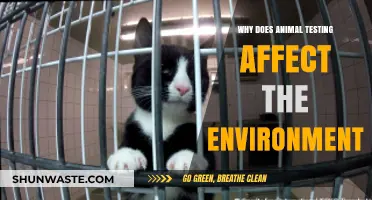 Animal Testing's Hidden Costs: Environmental Impacts and Ecosystem Consequences