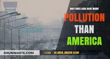 Asia's Pollution Crisis: Unraveling the Causes Behind Higher Levels Than America