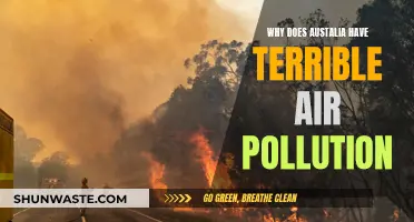 Australia's Air Pollution Crisis: Why It's So Bad