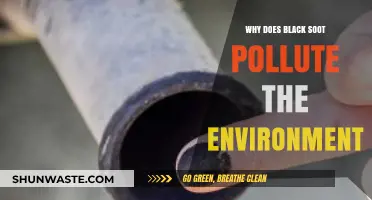 Black Soot's Environmental Impact: Sources, Dangers, and Solutions Explained