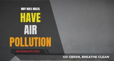 Air Pollution in Brazil: The Root Causes