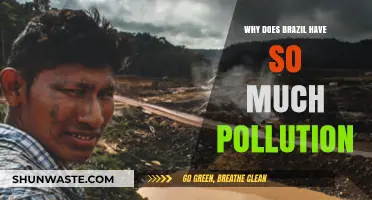 Brazil's Pollution Crisis: Causes, Impacts, and Urgent Solutions Needed