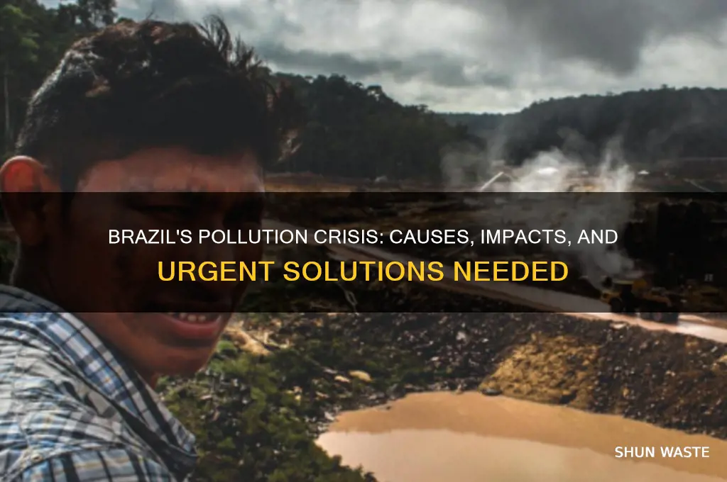 why does brazil have so much pollution
