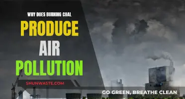 How Coal Burning Causes Air Pollution