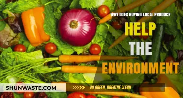 Supporting Local Farms: How Buying Local Produce Benefits Our Environment