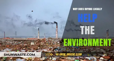 Support Local, Save the Planet: The Eco-Friendly Benefits of Buying Locally