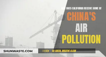How China's Air Pollution Reaches California's Skies