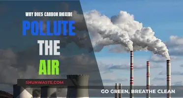 Carbon Dioxide: Air Pollution's Silent but Deadly Threat
