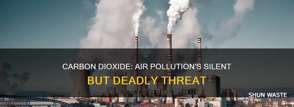 why does carbon dioxide pollute the air