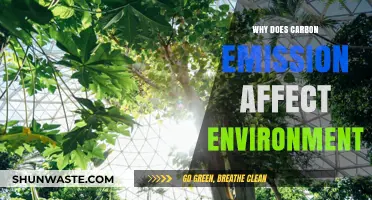 Carbon Emissions: Unraveling Their Devastating Impact on Our Environment