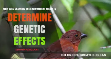 Environmental Shifts: Unveiling Genetic Influences and Their Adaptive Responses