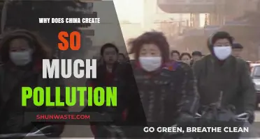 China's Pollution Crisis: Unraveling the Causes Behind the Smog
