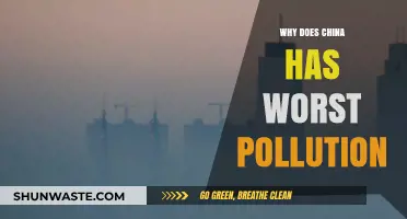China's Pollution Crisis: Causes and Consequences of Severe Air Quality
