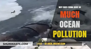 China's Ocean Pollution Crisis: Causes, Impacts, and Urgent Solutions