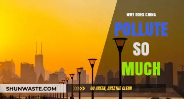 China's Pollution Crisis: Unraveling the Causes Behind High Emissions