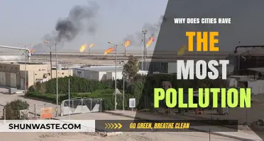 Urban Pollution Crisis: Why Cities Bear the Brunt of Environmental Degradation