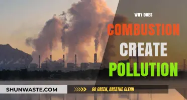 Combustion's Dark Side: Uncovering the Pollution Behind Burning Fuels