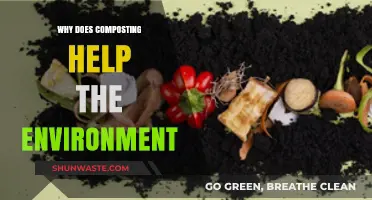 Composting's Green Impact: How Organic Waste Benefits Our Planet
