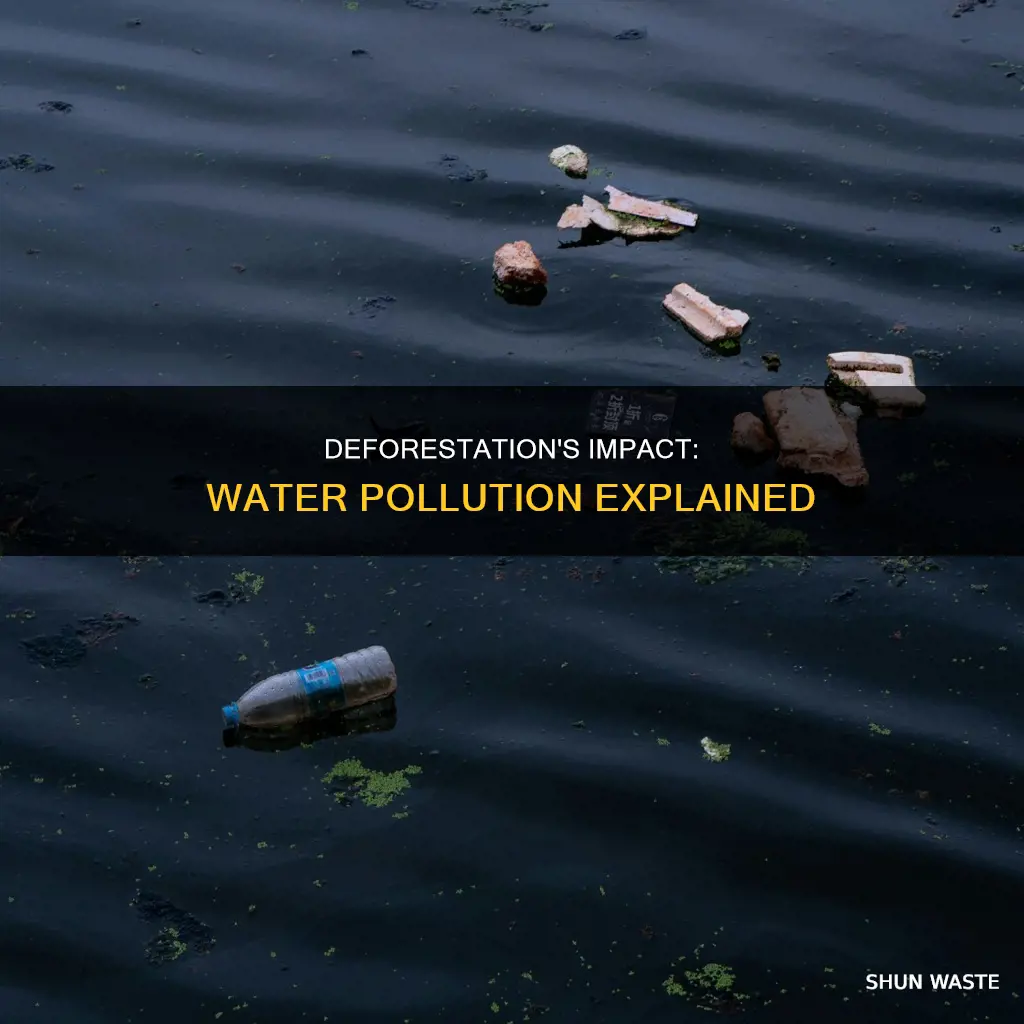 why does deforestation cause water pollution
