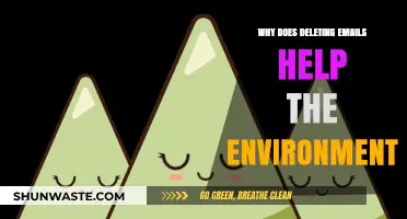Deleting Emails Reduces Carbon Footprint: A Simple Eco-Friendly Digital Habit