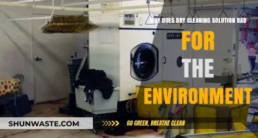 Dry Cleaning's Dark Side: Environmental Impact of Toxic Solutions