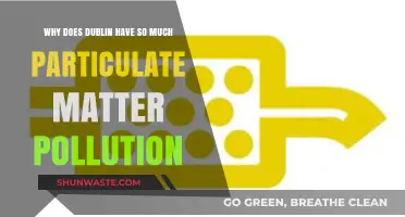 Dublin's Air Quality Crisis: Uncovering the Causes of High Particulate Matter Pollution