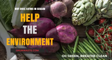 Eating Seasonally: How Fresh, Local Produce Benefits Our Planet