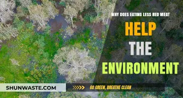 Reducing Red Meat Intake: A Sustainable Choice for Our Planet
