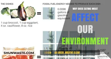 Meat's Environmental Impact: How Our Diets Harm the Planet