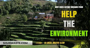 Organic Food's Environmental Impact: Sustainable Farming for a Greener Planet