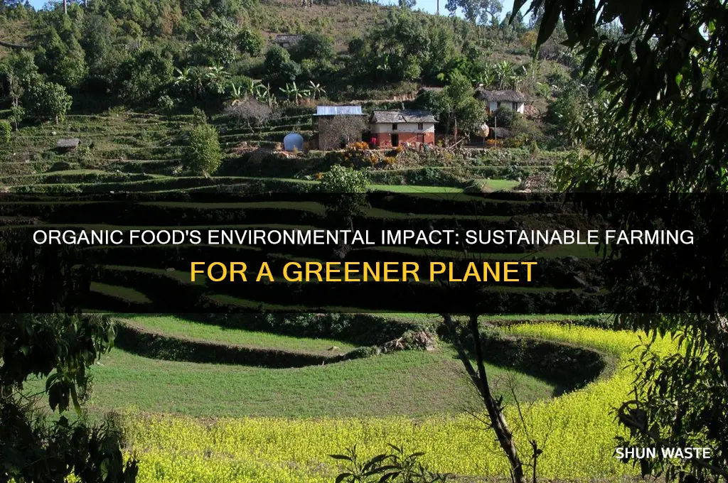 why does eating organic food help the environment