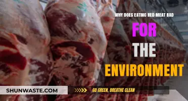 Red Meat's Environmental Impact: Uncovering the Hidden Costs of Consumption