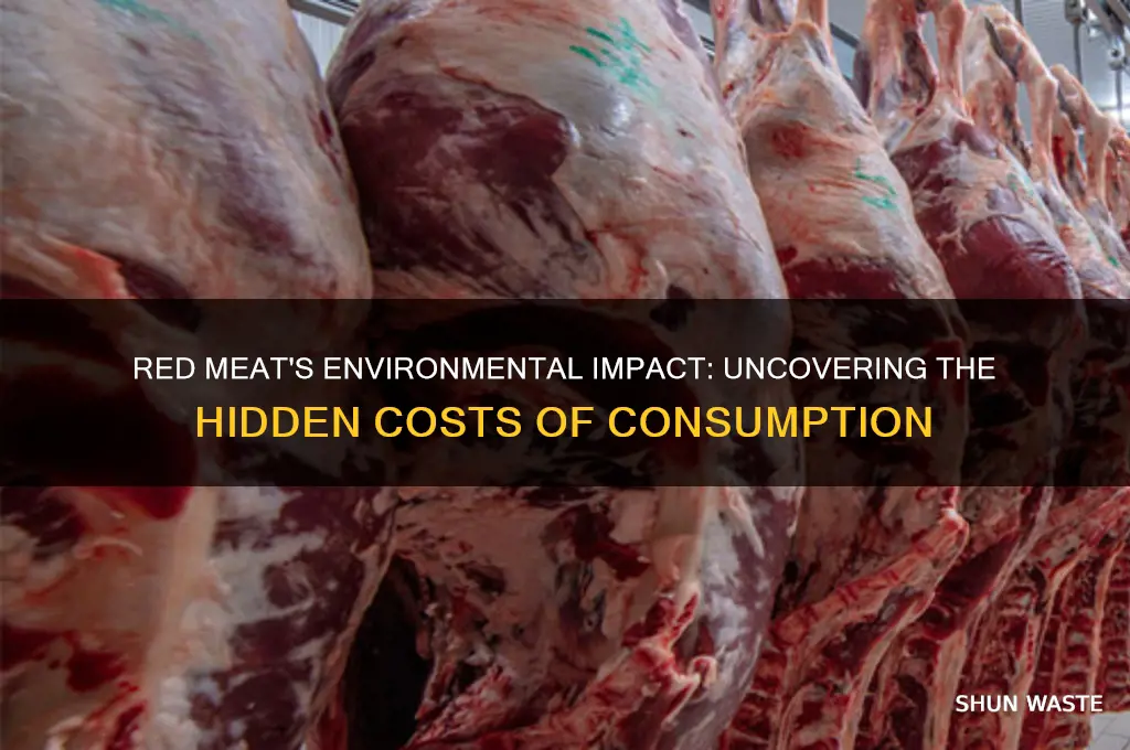 why does eating red meat bad for the environment