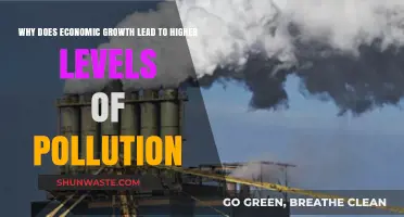 Economic Growth's Dark Side: Pollution's Rise and Environmental Costs