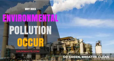 Understanding the Root Causes of Environmental Pollution and Its Impact