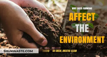 How Farming Practices Impact Our Environment: Causes and Solutions