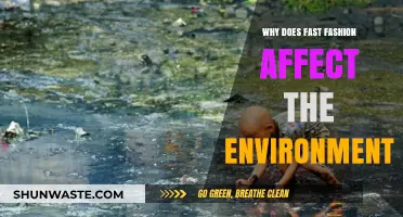 Fast Fashion's Environmental Impact: Unraveling the Hidden Costs of Cheap Trends